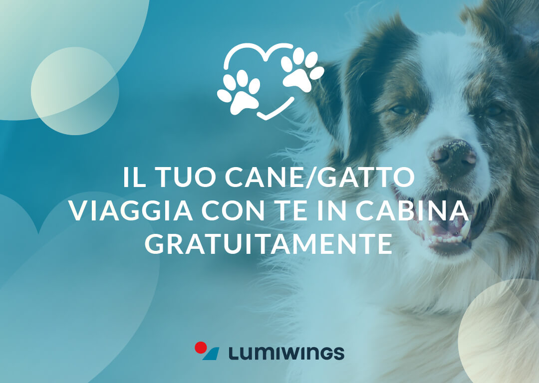 IL TUO CANE/GATTO VIAGGIA CON TE IN CABINA GRATUITAMENTE